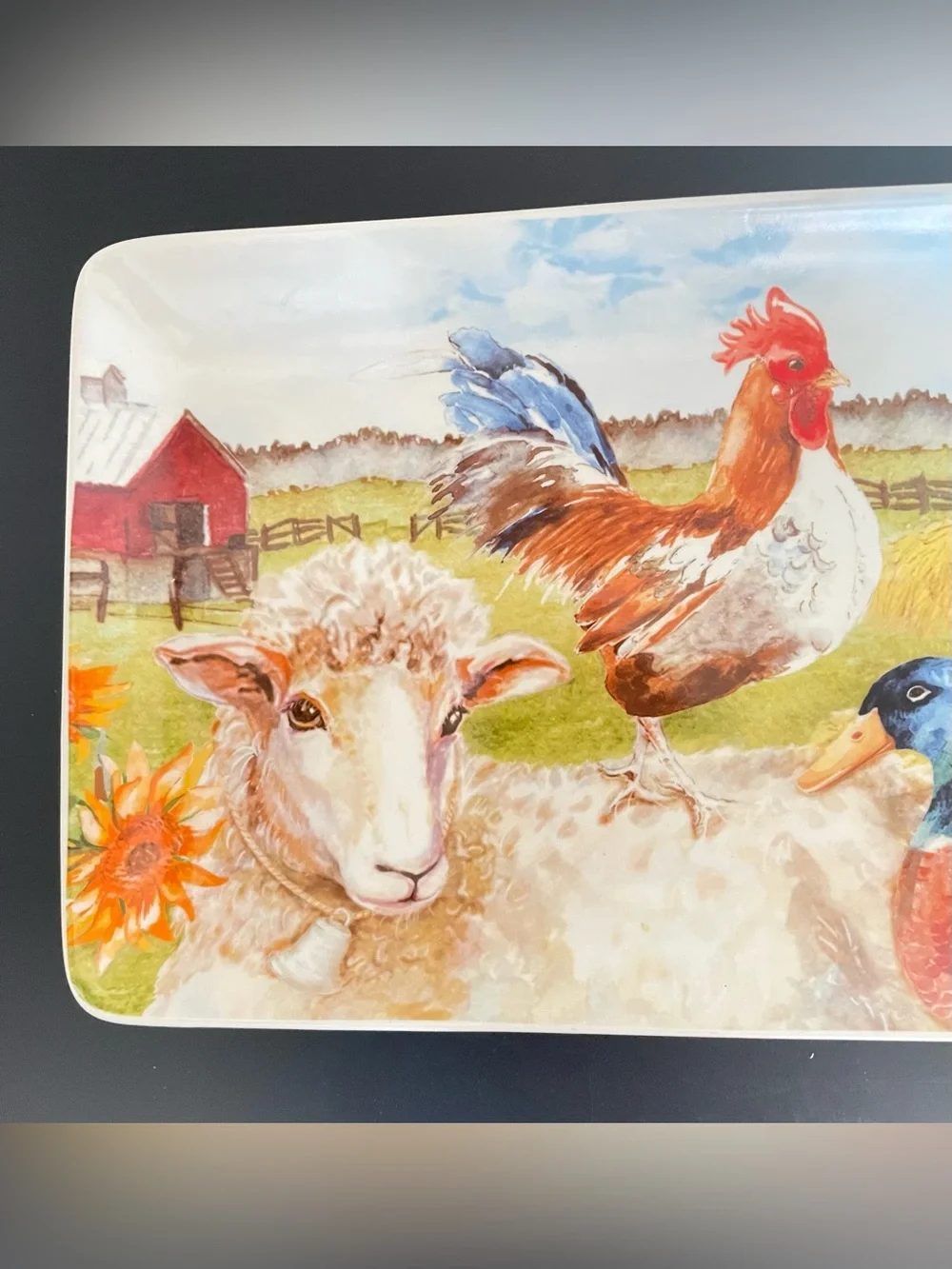 Pier 1 Imports Farm Life Farmhouse Rectangular Stoneware Platter